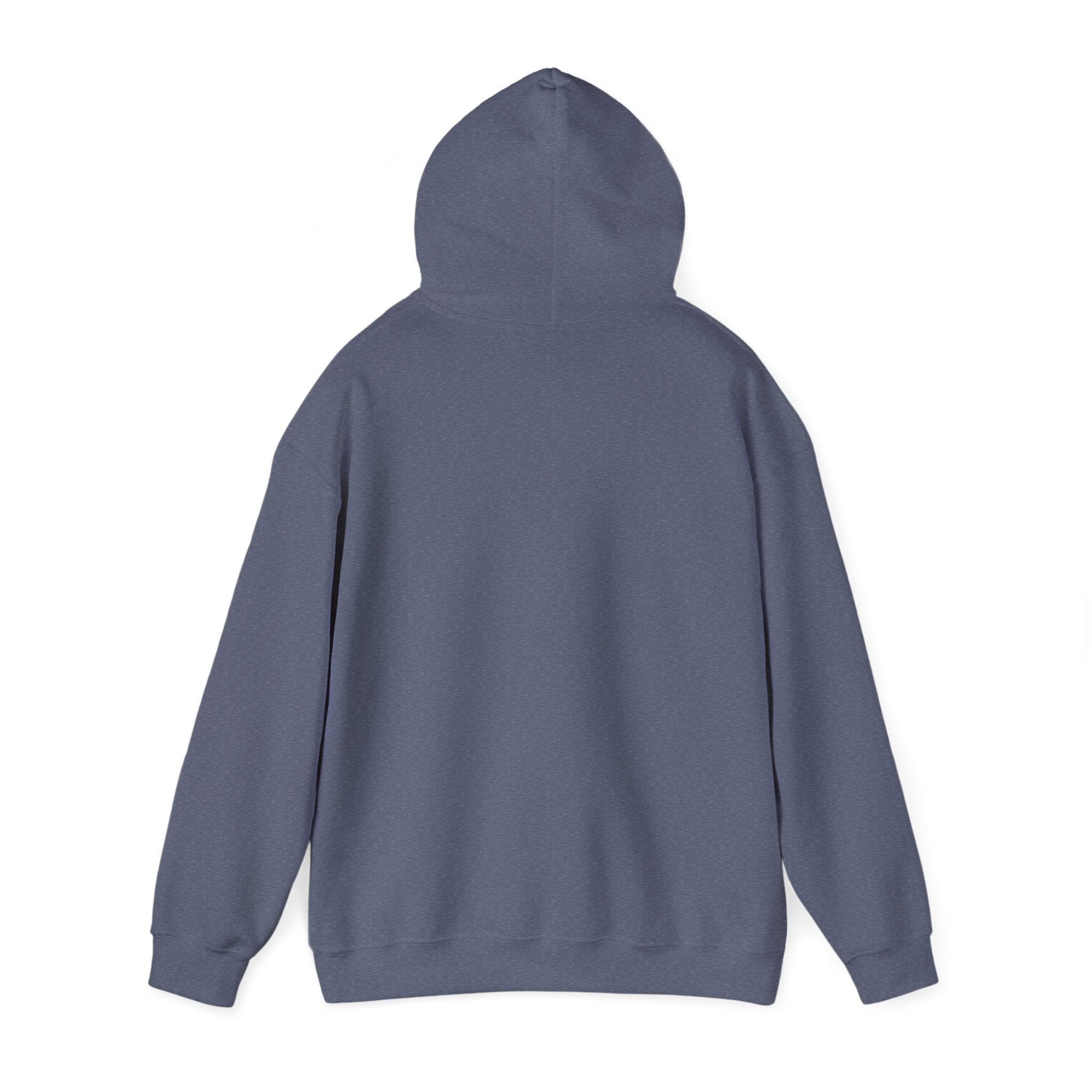 Aero Hoodie