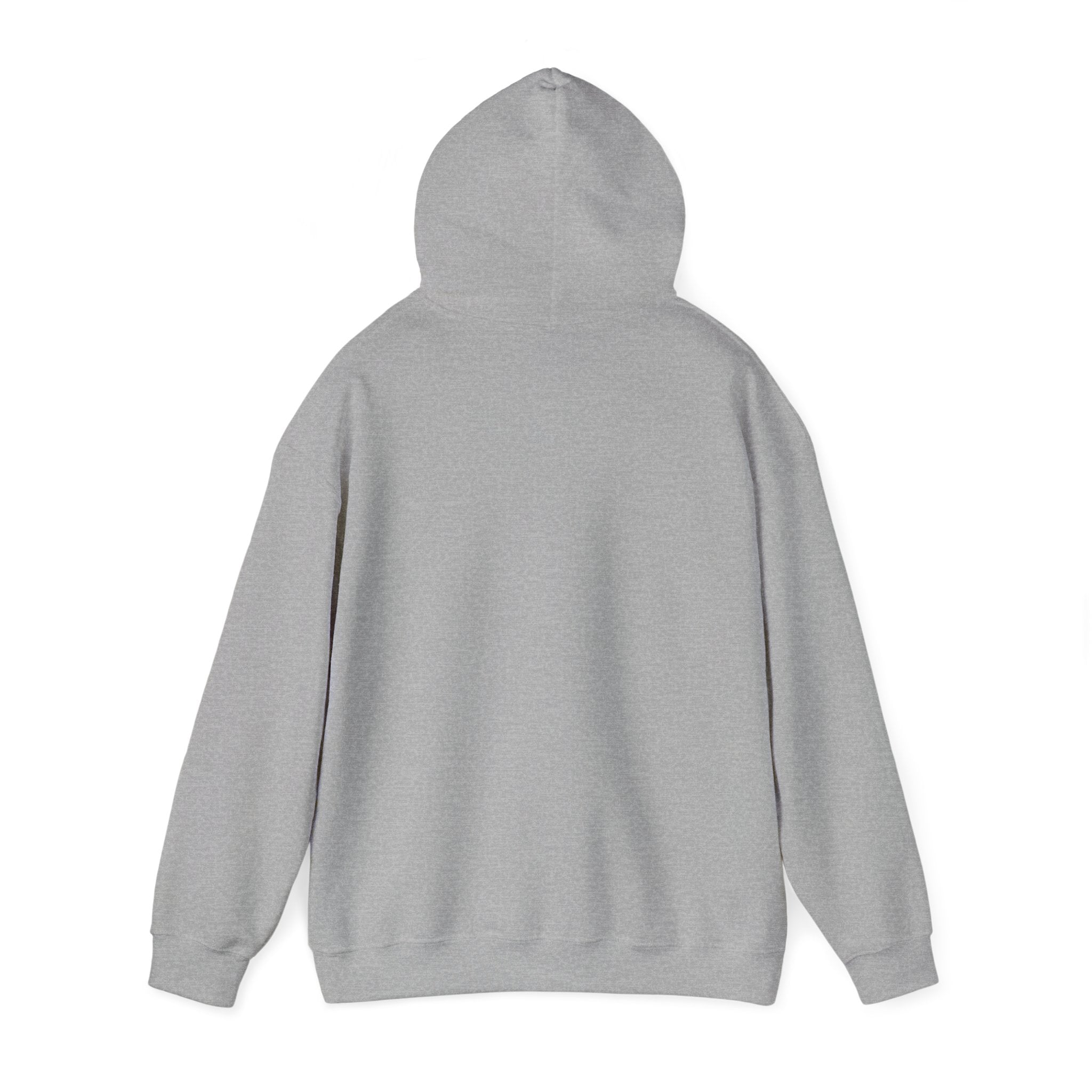 Aero Hoodie