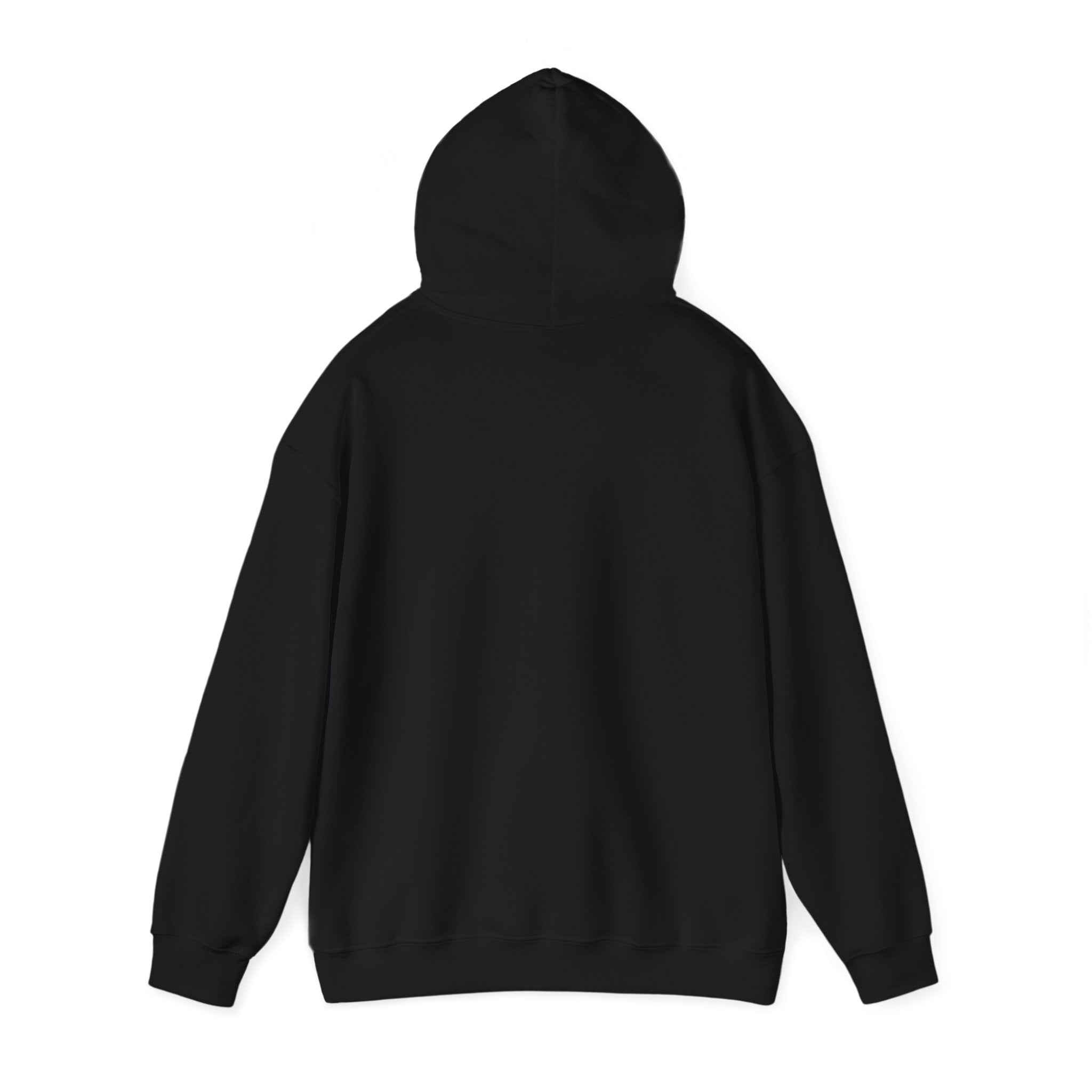 Aero Hoodie