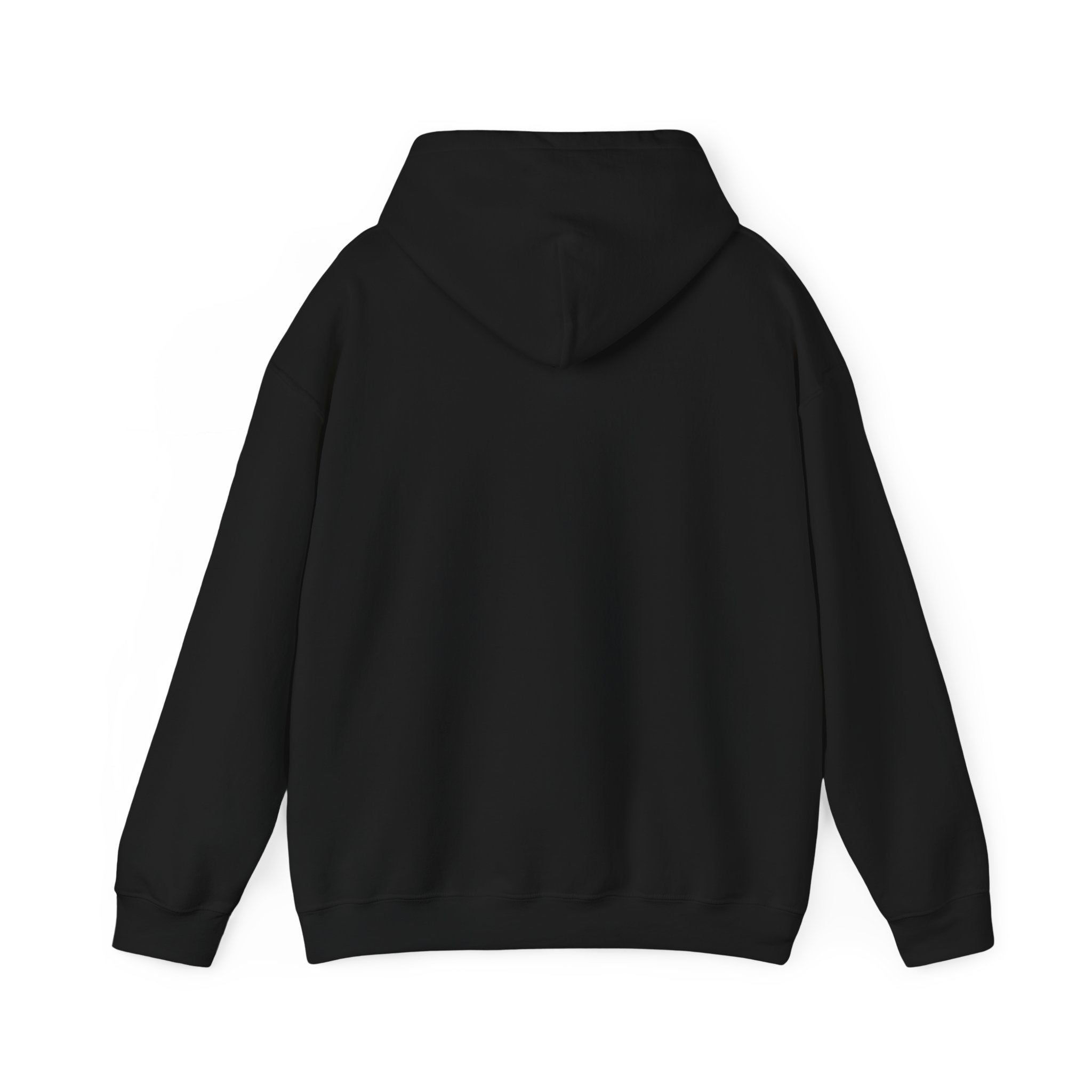 Aero Hoodie