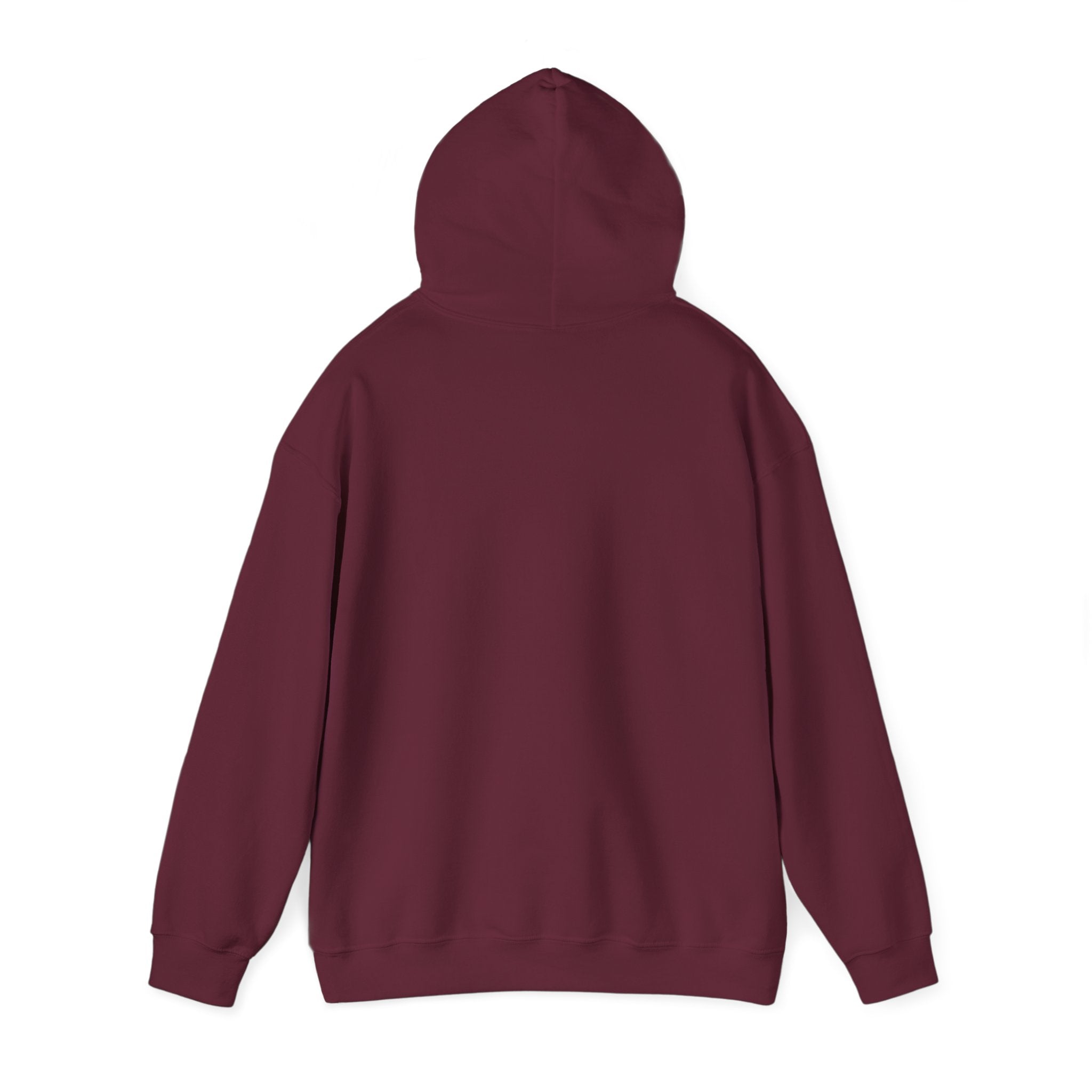 Aero Hoodie